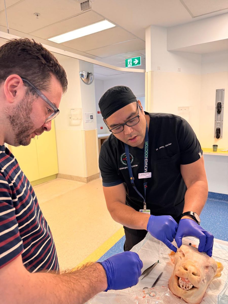 Two doctors examining an airway model during a hands-on skills training session